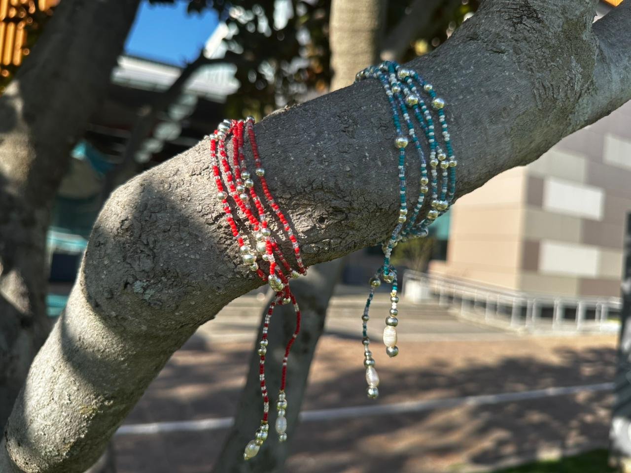 Pulseras Amaya sobre rama de árbol