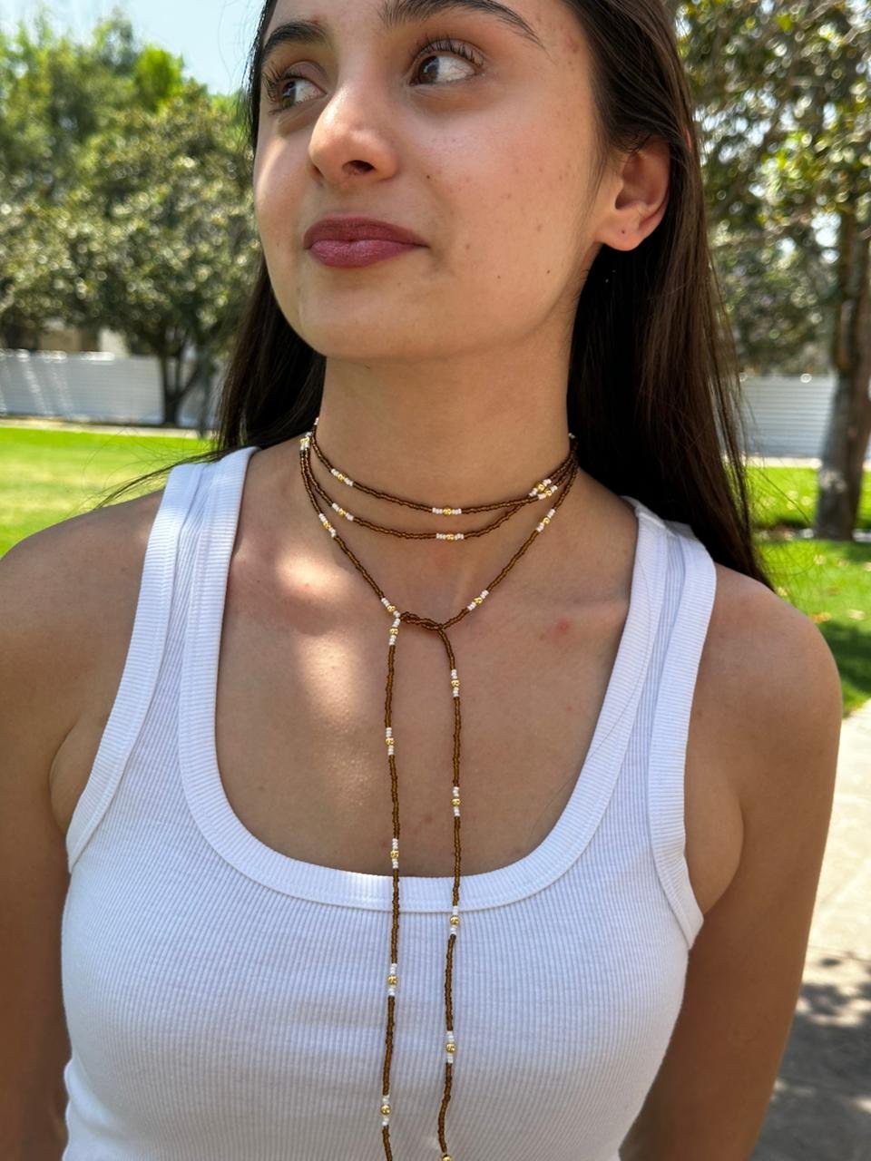 Lariat Café Dorado